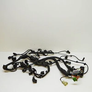 Arnés de cables motor BMW 4 F32 2014 8507902 850790204 758065404 758068103 850789505 - Imagen 1 de 10