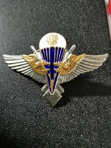 RUSSISCHE LUFTWAFFE LUFTLANDEDIVISION ABZEICHEN - Bild 1 von 2