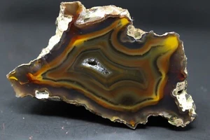 Condor agate collector specimen - Picture 1 of 4
