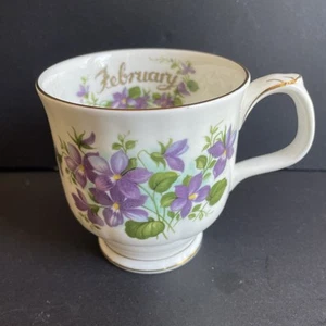 Royal Albert Bone China Flower Of The Month February Violets Mug - Foto 1 di 5