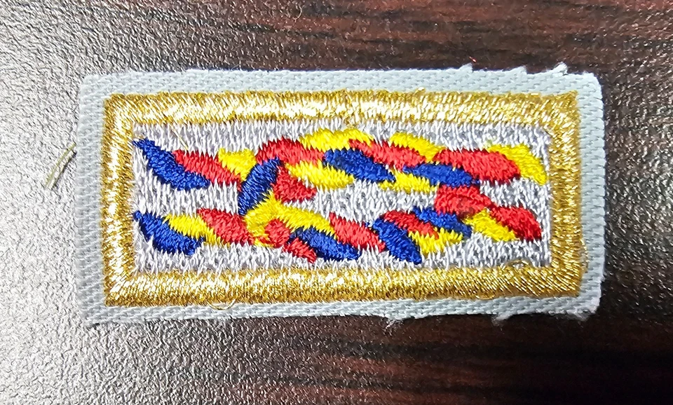 BSA Alumni Award Knot - 2010 backing - Current Issue - Image 1 of 1