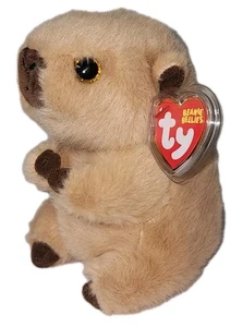 Ty Beanie Bellies - LARA the Capybara (6 Inch) NEW Plush Stuffed Animal Toy - Picture 1 of 11