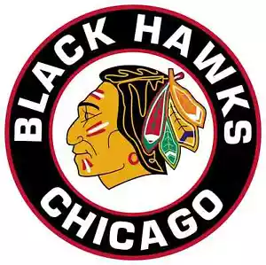 Chicago Blackhawks sticker logo NHL weatherproof bumper vinyl decal - Picture 1 of 1
