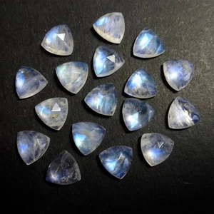 Natural Rainbow Moonstone Trillion Rose Cut 6mm to 15mm Loose Gemstone - Picture 1 of 2