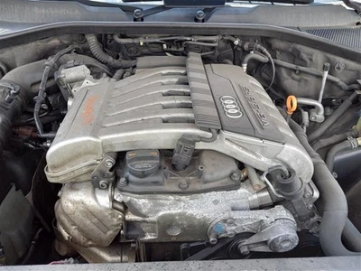 Guardabarros derecho pasajero compatible con 07-15 AUDI Q7 139374 Foto 1 de 4