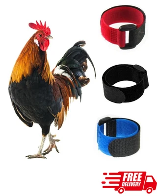 Paquete de 3 cinturones ajustables de control de ruido con cuello de pollo con cuello de gallo sin cuervo Foto 1 de 4