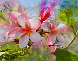 Plumeria Digital Photo Painting, 8x10 Art Print, Ready For Framing - Picture 1 of 4