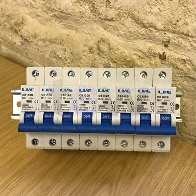 LVE B6 B10 B16 B20 B32 B40 B50 B63 10KA Single Pole MCB's Type B