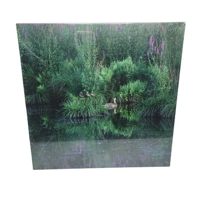 Vintage 1986 Eaton Mallards At Home 500 piece Puzzle 15-468-90 Brand New Sealed - Image 1 of 4