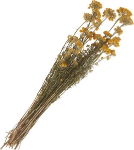 Lona natural amarillo, aprox. 40 g, L aprox. 30 - 50 cm - Imagen 1 de 6