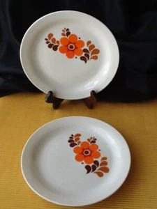 70´ CP Colditz Porzellan 2 x Dessertteller  Ø  19 cm Orange Blumen Vintage - Bild 1 von 7