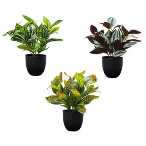 3 x künstliche Grünpflanzen in Töpfen - günstig 3er Pack - Bild 1 von 1