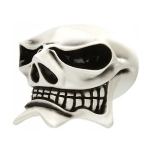 MCPHAIL - Skull - Van Chase custom shift knob -custom, hand-painted - Picture 1 of 1