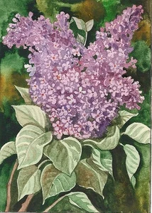 ACEO DRUCK VON AQUARELL GEMÄLDE RYTA FRÜHLING LILA BLUME VINTAGE STIL Kunst - Bild 1 von 1