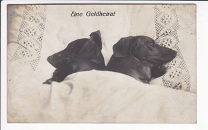 FOTOKARTE , DACKEL , TECKEL , DACHSHUND , " EINE GELDHEIRAT " , ca1910 - Picture 1 of 2
