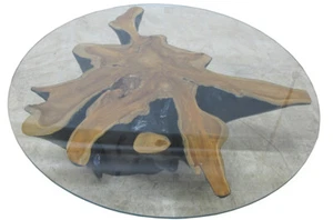 Star Nature Wood Color Organic Teak Root Coffee Table or Accent Table 59 - Picture 1 of 9