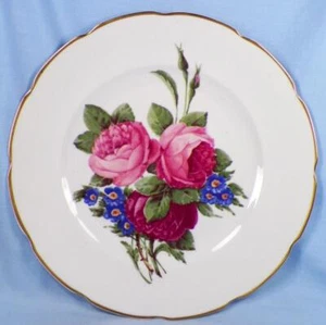 Schumann Bavaria Dinner Plate Pink Rose Blue Primrose US Zoned Germany Antique - Picture 1 of 4