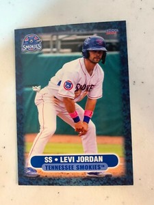 Levi Jordan Card 2021 Tennessee Smokies Team Card 