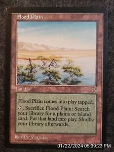 Magic The Gathering Flood Plain Mirage Regular Poco Común - NUNCA JUGADO (DS3D1C7) - Imagen 1 de 4
