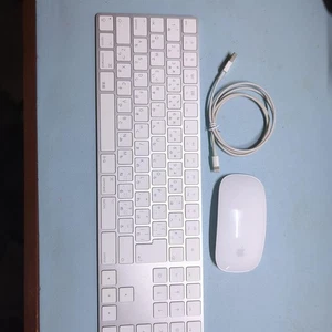 Apple Magic Keyboard (Japanese Jis) & Magic Mouse Wireless Keyboard Mouse Combo - Picture 1 of 12