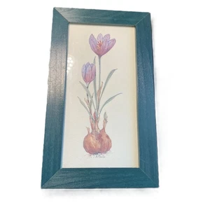 Original Botanical Watercolor Painting Signed J.H. Seale Crocus Flower Teal - Picture 1 of 7