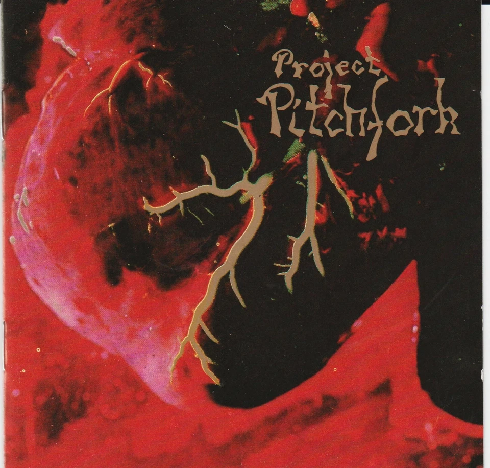 CD PROJECT PITCHFORK SOULS / ISLAND Industrial Gothic Electro Synth-Pop 1993 EP  - Bild 1 von 2