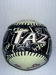 1998 Tasmanian Devil Fotoball Baseball Vintage Collector 1998 Taz - Bild 1 von 6