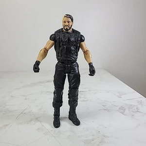 WWE Seth Rollins Wrestling Action Figure Battle Pack 24 Mattel 2013 - Foto 1 di 4