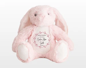 Giocattolo coniglietto coniglio personalizzato Hello World, nuovo regalo bambino, giocattolo il tuo nome, regalo battesimo - Foto 1 di 5