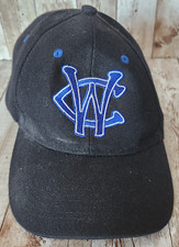Windy City Thunderbolts Minor League Baseball Hat Cap READ