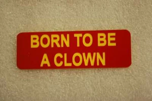 BORN TO BE A CLOWN (Distintivi divertenti) - Foto 1 di 1