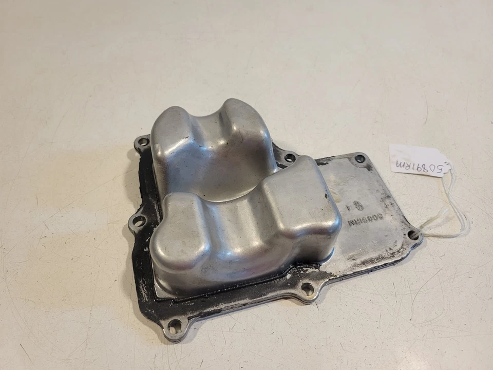 PLACA CARCASA ENGRANAJE HIDROELÉCTRICO 50891RM Foto 1 de 4