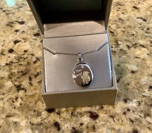 "Medallón de plata esterlina Winnie the Pooh Disney *Bee Mine* en una cadena de ley de 16""" - Imagen 1 de 14
