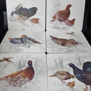 JR Original Design Melamine Placemats British Birds x6 Boxed vintage good - Picture 1 of 11