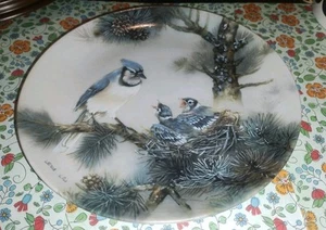 Plato coleccionable de pino de invierno Blue Bird Lena Lui Morning Chorus George Baby Bird - Imagen 1 de 6