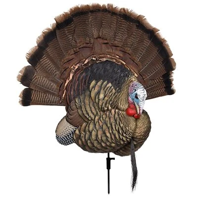 Avian-X Trophy Tom Turkey Decoy | Durable Realistic Lifelike Collapsible - Image 1 of 4