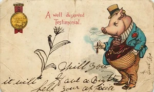 AK Anthropomorphe Schweine Anwalt Zigarre wohlverdientes Zeugnis 1906 - Bild 1 von 2