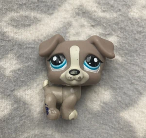 Littlest Pet Shop LPS #1832 grau grau weiß Jack Russell Hund blaue Augen - Bild 1 von 3