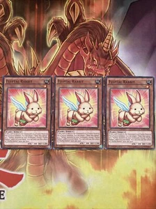 NECH-EN020 Yu-Gi-Oh 3x Fluffal Rabbit 1st Edition (Mixed) - Picture 1 of 4