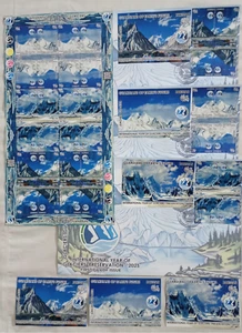 Pakistan 2025 Glacier Preservation Year Siachen Biafo Baltoro K2 Peak Karakorum - Picture 1 of 4