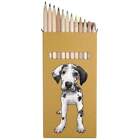 12 x crayons de couleur longs « Arlequin Great Dane Puppy » (PE00063363)