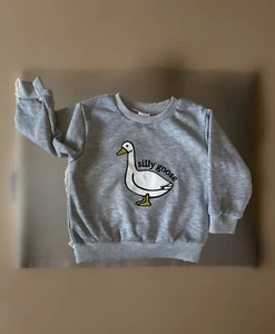 Silly Goose Sweat Shirt fleece Gray Size 9 Months Unisex unbranded - Picture 1 of 7