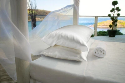 BECKFORD SILK 100% Pure mulberry Silk Charmeuse Pillowcase - 19 momme