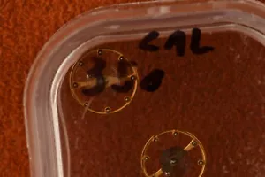 Patek Philippe Unruh komplett Kaliber 350 - Bild 1 von 2