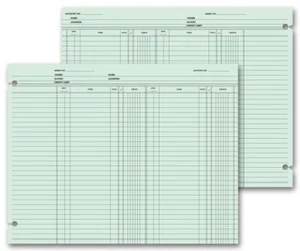 21119 Double Entry Ledger Sheets 9 1/4 x 11 7/8" QTY 100 - Picture 1 of 1