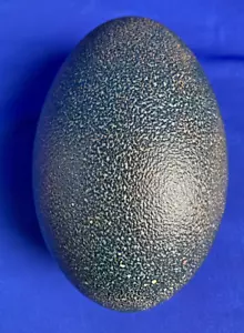 Emu Egg - ONE Empty Blown and Cleaned Eggshell 10x7cm Speckled Clean Australia - Picture 1 of 6