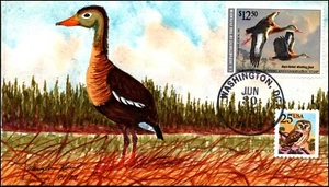 Scott RW57 $12.50 Whistling Duck - Vaughn Hord Hand Painted Duck FDC - 44/77 - Picture 1 of 2