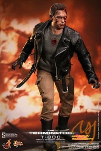 Hot Toys MMS 238 T800 Terminator Battle Damaged Ver Arnold Schwarzenegger NUEVO - Imagen 1 de 7