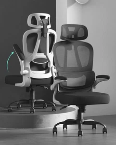 Ergonomic High Back Office Chair w/ Lumbar Support & Flip-Up Arms - Bild 1 von 8
