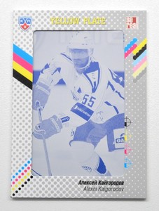 2013-14 KHL Gold Collection Printing Plate #SAL-Y12 ALEXEI KAIGORODOV 1/1